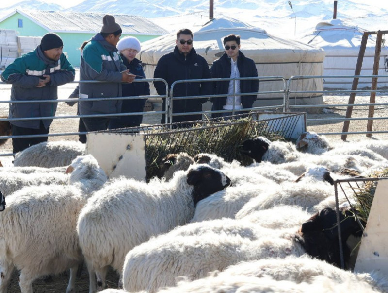Баянхонгор аймгийн 8 сум зудын их эрсдэлтэй ангилалд байна